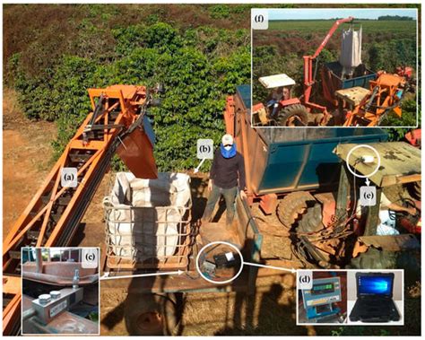 Obtaining and Validating High-Density Coffee Yield Data
