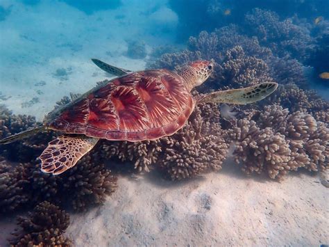 EXMOUTH ADVENTURE CO (2025) All You Need to Know BEFORE You Go (with ...