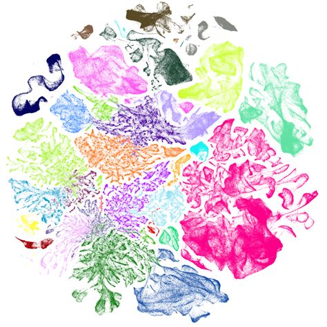 Image result for Brain Cell Types