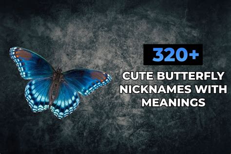 320+ Cute Butterfly Names With Meanings – Names Frost