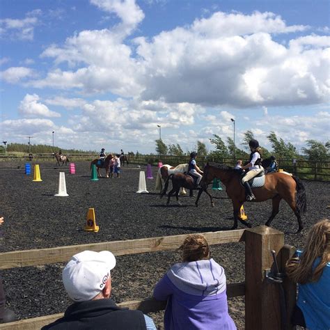 MOORWOOD EQUINE - All You Need to Know BEFORE You Go 2026 (with Photos ...