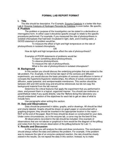 Formal Lab Report 的图像结果