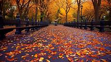 Fall Backgrounds Aesthetic Desktop by Aesthetic Autumn Wallpapers Wallpaper Cave Fall Backgrounds Aesthetic Desktop