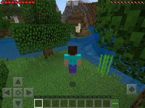 Image result for How to Get Minecraft Java Edition On iPad