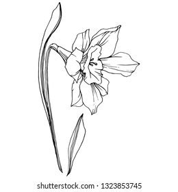 Design Drawing 的图像结果