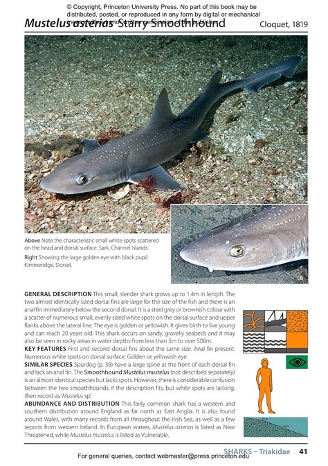 Another Bird Blog: Book Review - Inshore Fishes of Britain and Ireland