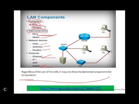 Local Area Network Components 的图像结果