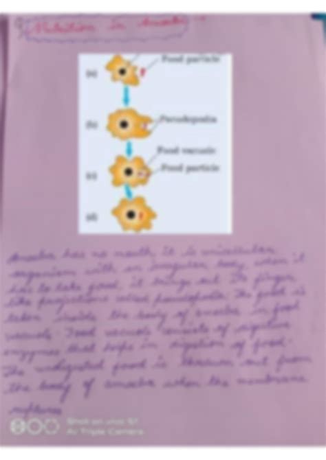 Image result for Class 10 Bio Videos