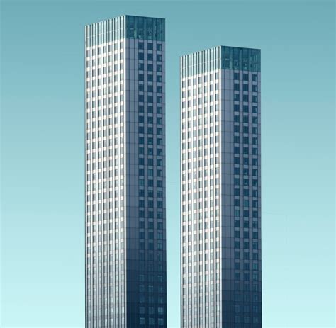 Image result for How to Implement Stewardship