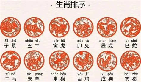 十二生肖排序表图：鼠/牛/虎/兔/龙/蛇/马/羊/猴/鸡/狗/猪-小狼观天下
