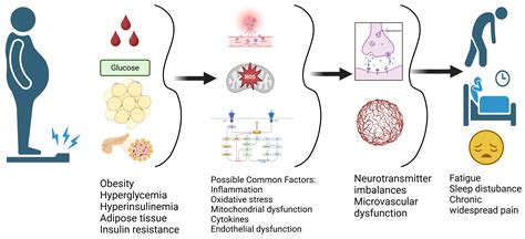 Exploring the TyG Index and the Homeostasis Model Assessment of Insulin ...