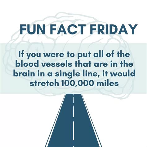 Fun Fact Friday - Blood Vessels - New Jersey Pediatric Neuroscience ...