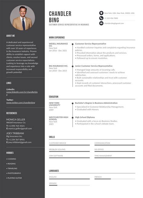 Image result for Insurance Customer Service CV Template