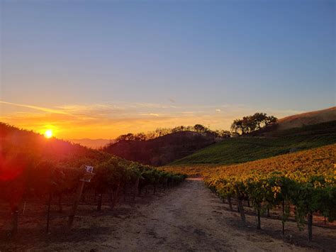 Gallery | Laguna Canyon Winery