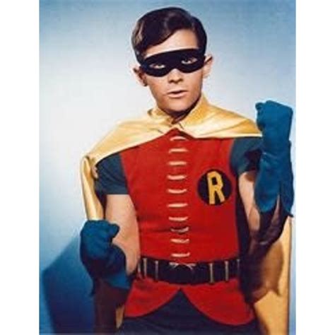 Robin-The Boy Wonder - Get A Hobby