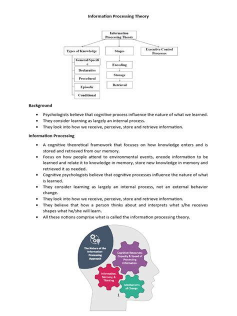 Information Processing Theory Model 的图像结果