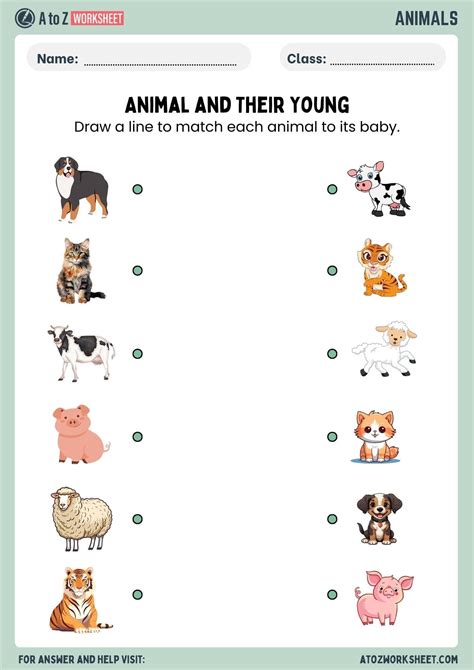 Animals Worksheet 的图像结果