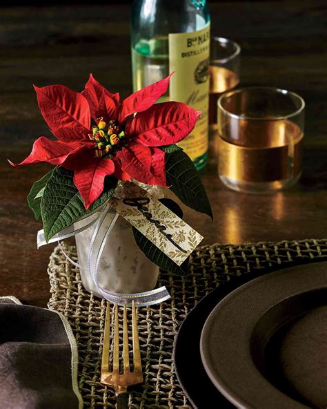 Christmas flowers poinsettias new arrivals