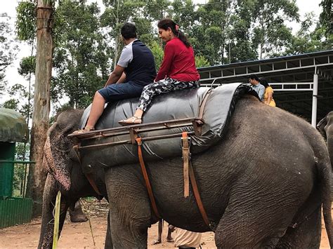 Thathwamasi Tour's
