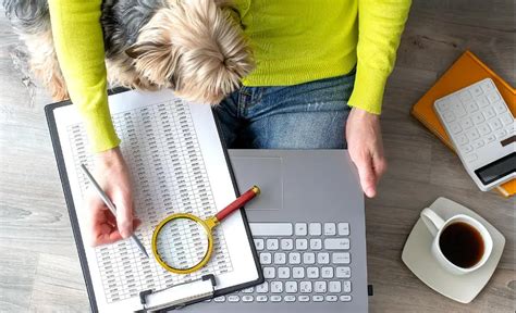 Harper | Privacy-First Offline Grammar Checker for Developers