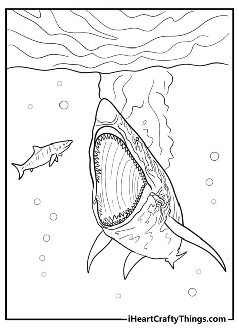 31 New Megalodon Coloring Pages (100% Free To Print)