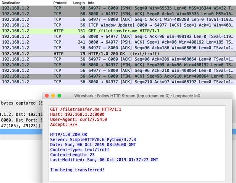 HTTP File Transfer Tutorial 的图像结果