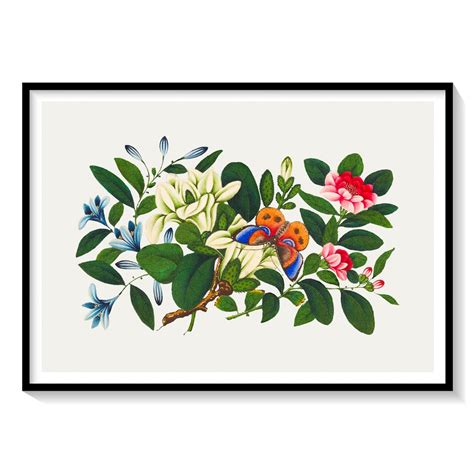 Chinese Flower Art from the Qing Dynasty: Buy Flower Paintings ...