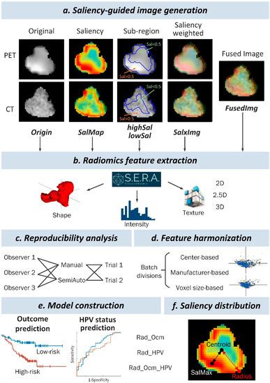 Context-Aware Saliency Guided Radiomics: Application to Prediction of ...