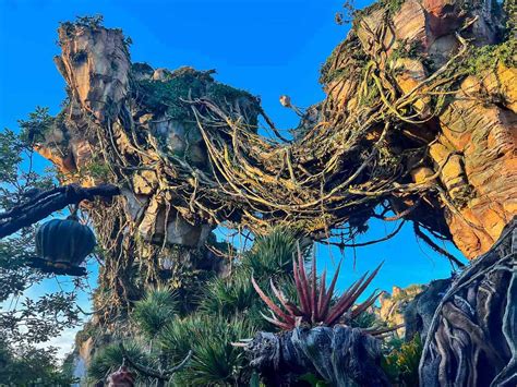 20 Best Things to Do at Animal Kingdom: Must Do Rides and Attractions
