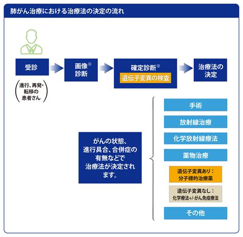 テプミトコ 治療【患者向け】 | メルクバイオファーマ