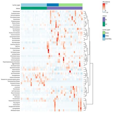 Dysbiosis Signature of Fecal Microbiota in Patients with Pancreatic ...