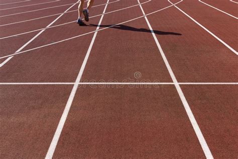 Sports Ground 的图像结果