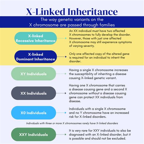 X Linked Diseases The Implication Of X Linked Genetic Polymorphisms In