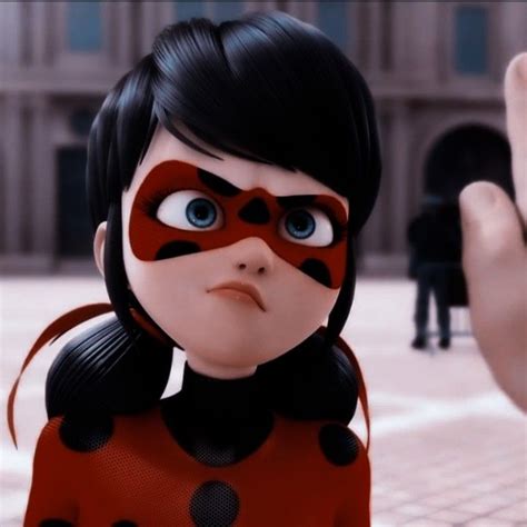 Rezultat imagine pentru Ladybug Copycat