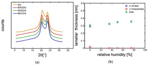 Structure-Properties Relations for Polyamide 6, Part 2: Influence of ...