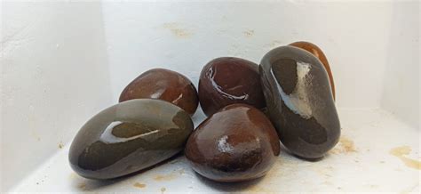 AQA River Pebbles Big – Best4Pets