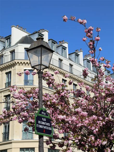 Springtime In Paris: 24 Gorgeous Spring Things To Do In 2024