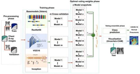 Uncertain-CAM: Uncertainty-Based Ensemble Machine Voting for Improved ...