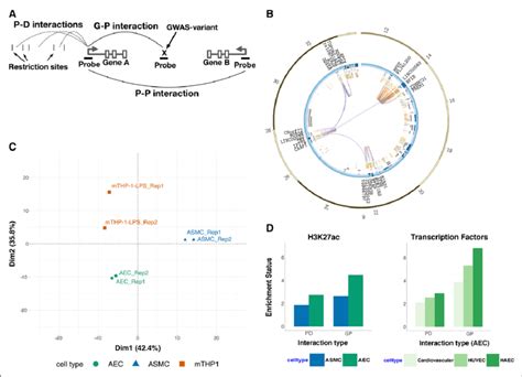 Promoter Region Models 的图像结果