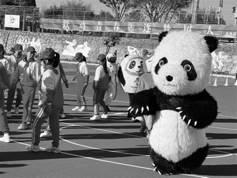 熊猫粉丝“燥起来”！首届大熊猫粉丝狂欢节即将亮相咪咕圈圈直播间_凤凰网商业_凤凰网