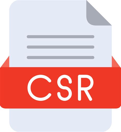 Image result for What Is Inside CSR File