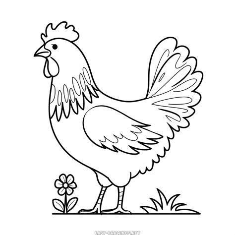 Beautiful Chicken Easy Drawing | Easy Drawings