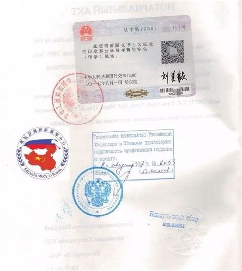 俄罗斯自费留学签证和公费留学签证区别 - 知乎