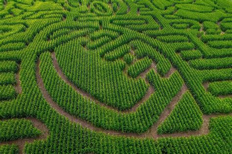 Wisconsin Agriculture Highlights 2025 Draft