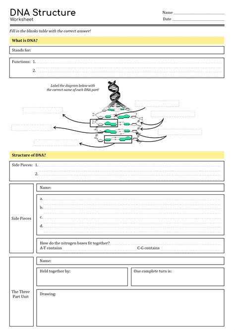 How to Code DNA Sequence Practice 的图像结果