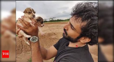 This VIDEO of Aadhi Pinisetty rescuing street puppies will make your ...