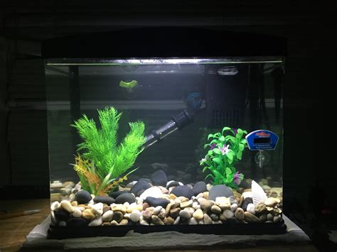 Image result for Fish Tank Substrate