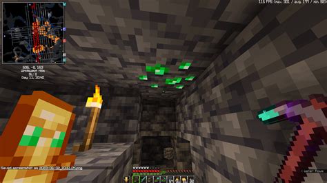 After many hours of strip mining, I finally found the rarest block in the game, Deepslate ...