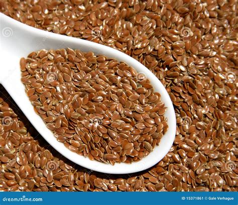 Semilla de lino imagen de archivo. Imagen de porcelana - 15371861