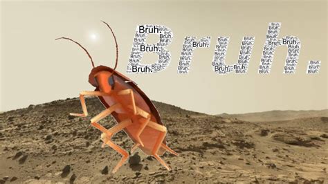 Dancing Cockroach Meme 的图像结果